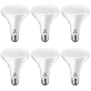 Energetic BR30 LED Flood Lights Indoor, Daylight 5000K, 65W Recessed Light Bulbs, Dimmable, 750lm, Energy Star & CRI 90, 6 Pack