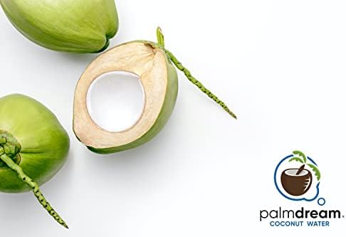 Palmdream Coconut Water - 100% Natural - No Sugar Added - 1 Liter (Pack Of 12)