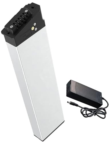 XSDAJSD Batería de Bicicleta eléctrica de 36 V, 48 V, 10 Ah, 15 Ah, 20 Ah, 48 V, 10 Ah, 15 Ah, 20 Ah, batería de Iones de Litio con BMS Integrado para 1000 W, 750 W, 500 W y 250 W con Cargador.