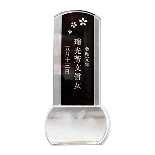 ʔv NX^ @̉ ؎D hy ㍞݁zCXg 3.5[AH[ ] (1.CXg)