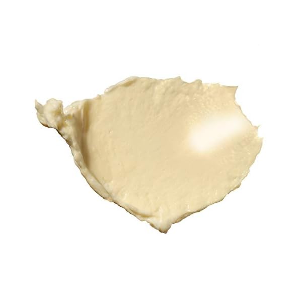 Biolage Smooth Proof Deep Treatment Pack | Multi-Use Hair Mask Controls Frizz | With Camellia & Castor Oil | Vegan & Paraben-Free | For Frizzy Hair | 3.4 Fl. Oz