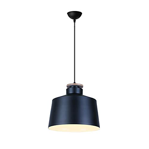 Suspension Lampe Grange pour Ambiance Loft et Grenier - 2