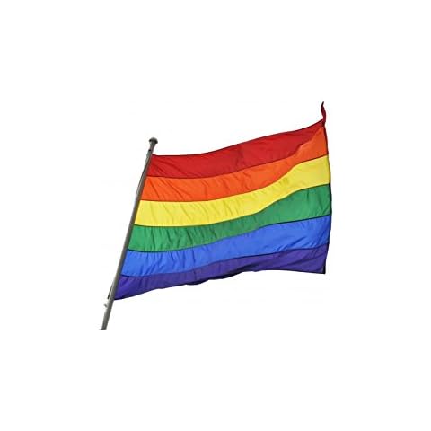 Gay Pride Rainbow LGBT Large Flag (90cm x 150cm) Cover