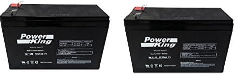 Razor Dirt Quad High Performance Battery Pack