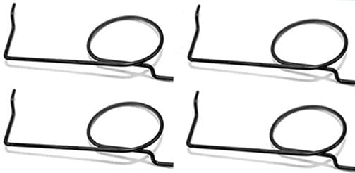 Tecumseh 34663 Ersatzfeder-Set, kompatibel mit Tecumseh Motor (4 Stück)