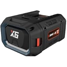 SENIX X6 60 Volt Max* 4 Ah Lithium-ion Battery 60 Volt Max* Cordless Lawn and Garden Tools, Fade-Free, Battery Indicator Lights B40X6