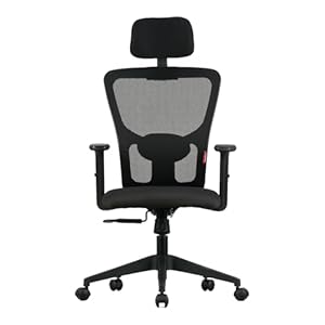 Featherlite ”Astro” Mesh Home & Office Ergonomic Chair with, Adjustable Lumbar Support, Adjustable Armrest & DIY (High Back, Black)