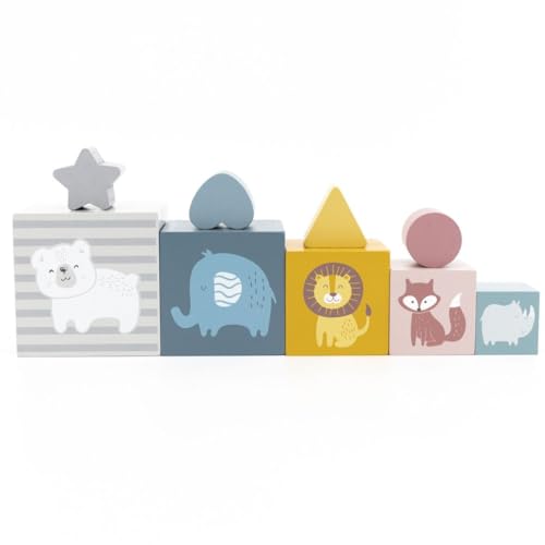 Image of VIGA PolarB Nesting & Stacking Blocks