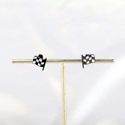 SEIRAA Racing Flag Earrings Black and White Checkered Flag Jewelry Motocross Gifts Racers Racing Stud Earrings4