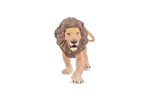 Catálogo para Comprar On-line Papo que puedes comprar esta semana. 3