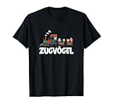 Zugvögel Vogelarten Vogelzug