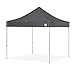 E-Z UP Endeavor Instant Shelter Canopy, 10