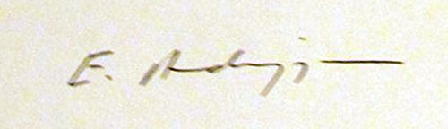 The Newcomes: Memoirs of a Most Respectable Fam... B00CTP60BM Book Cover