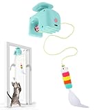 Performance durable : conçus avec un matériau ABS absorbant les chocs, ces jouets automatiques pour chat offrent une stabilité structurelle constante et une durabilité, assurant une performance fiable, que ce soit sur des tapis ou des surfaces dures à la maison