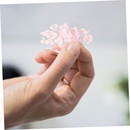 Pétalos de flores hortensia preservados 20g rosa miniatura 7