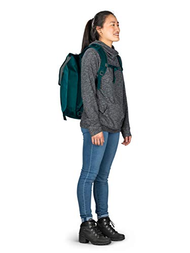 Osprey Transporter Flap Laptop Backpack, Westwind Teal
