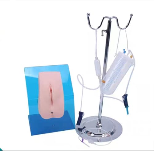 Cathétérisme urinaire modèle d'étude anatomique pour formation médicale en ligne