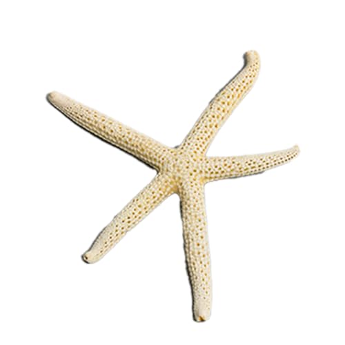 Decoração De Estrela Do Mar Para Tanque De Peixes MOUMOUTEN, Ornamento De Aquário Vívido, Modelo De