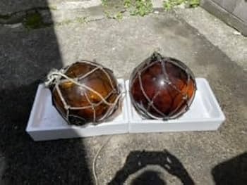 かなり珍しい(超レア)巨大なフジツボが付いたガラスの浮き玉 かなり珍しい(超レア)巨大なフジツボが付いたガラスの浮き玉