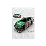 3dRose Dale Earnhardt JR 15x22 Hand Towel