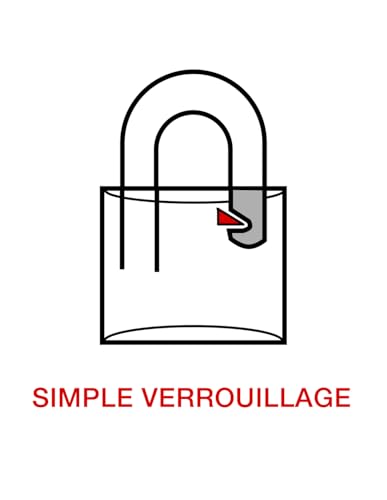 Cadenas anse 11 mm Thirard pour securiser porte et coffre - 7
