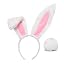 White Bunny Ears&tail