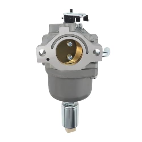 Carburateur moto et motoculture 19 CV régulateur de flux thermique compatible 591736 594601
