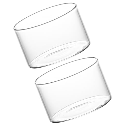 NIYANGLE Vasos de Postre de Cristal Transparentes 2 Piezas, Taza Multifunción para Yogur y Helado Casero, Molde para Pudín y Postres, Apto para Hogar, Bar y Restaurante