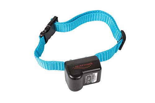 Num'axes hondenhalsband Canicalm First tegen bellen
