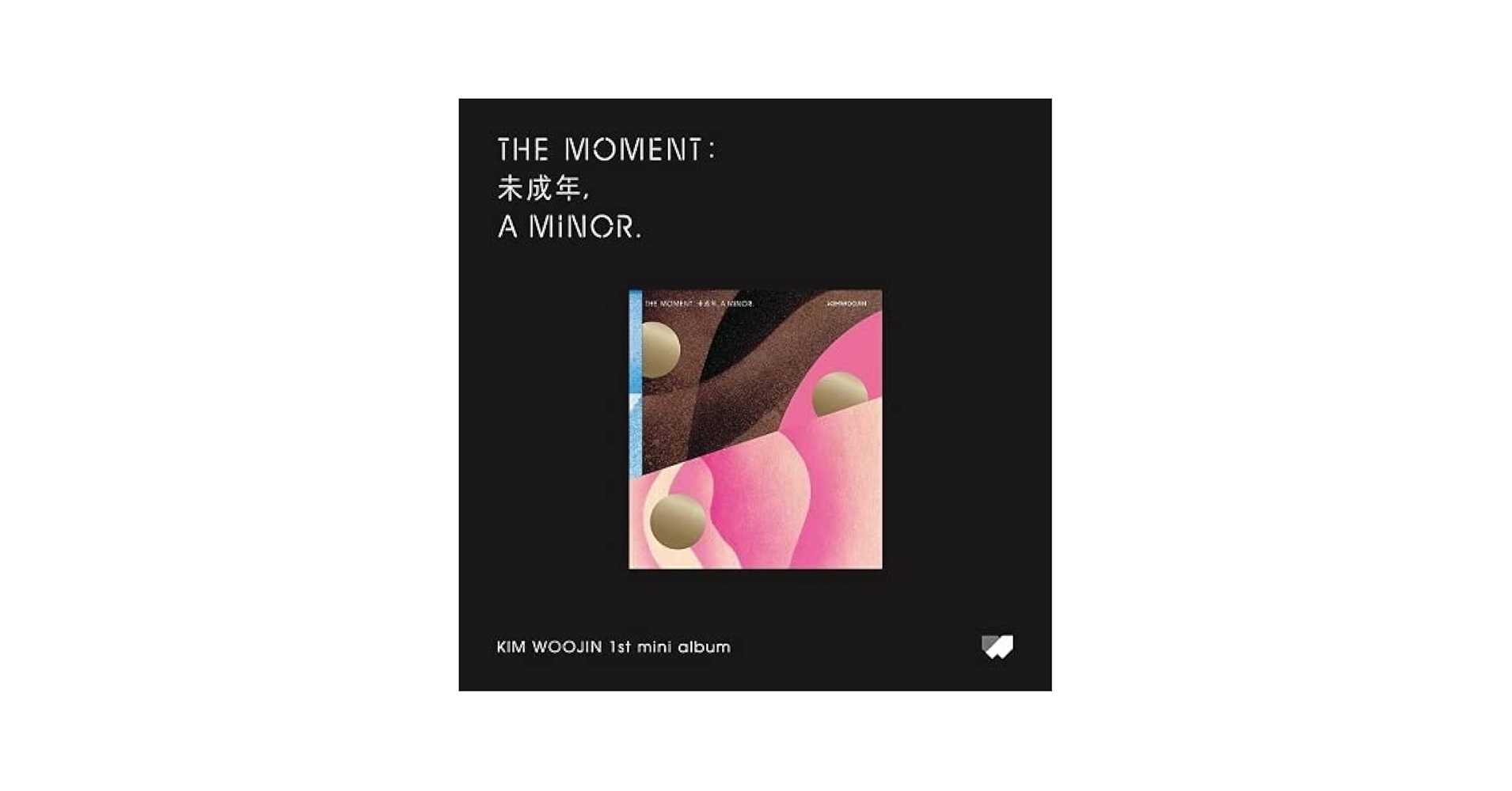 Hoooook　The Art of Woojin　WOOJIN　ポスター付き Hoooook The Art of Woojin WOOJIN ポスター付き