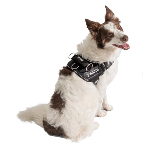 Joyride Dog Harness 2.0 | No-Pull | Black 2.0 | XS