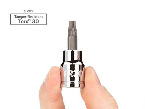 Image of TEKTON 3 /8 Inch Drive x TR20 Tamper-Resistant Torx Bit Socket | SHB17220 (Pack of 2)