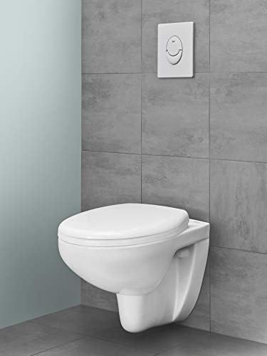 GROHE Skate Air, WC Abdeckplatte (wassersparende Betätigungsplatte mit 2-Mengen-Betätigung, Drückerplatte für die senkrechte Montage, 16cm breit, 20cm hoch), alpinweiß, 38505SH0