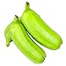 Congo Since 1979 Hawaiian Hopa Plantain (Shipping Included) (15 lbs)