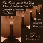 Triumph of the Egg: A Book of Impressions from American Life In Tales and Poems - Sherwood Anderson Podcast Por  arte de port