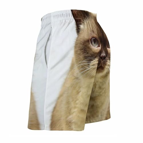 Shorts de bain homme gros chat mignon avec cordon ajustable et poches intégrées