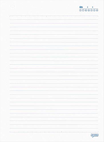 Caderno de 10 Matérias - Pacote com 4 Unidades Jandaia, Multicor