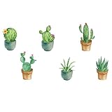 LALADEFIEE Adesivo Murale in Pvc Verde Piante Grasse e Cactus, Facile da Applicare e Resistente, per Decorare Pareti e Finestre in Camerette e Asili