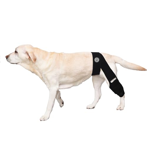 Image of Large Breathable Dog Knee Brace for Torn ACL Legs - Easy to Use, Neoprene Dog Leg Braces for Back Leg - ACL Brace for Dogs, Helps Reduce Pain and Heal Injuries