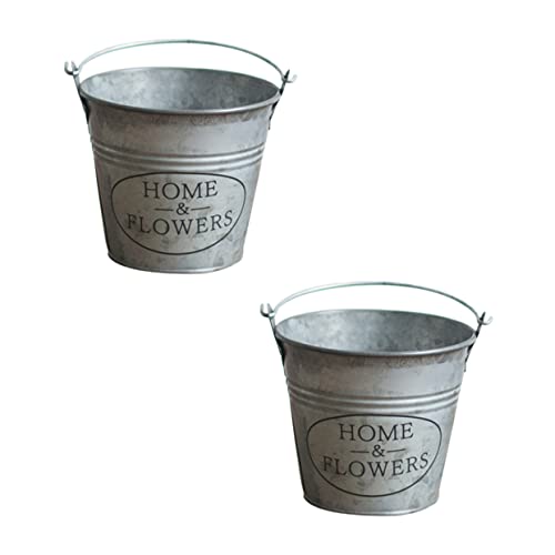 Toyvian 2pezzi Secchio Per in Secchio Per Piantare Realizzato in Materiale Resistente Design e Maniglia Per Trasporto Facile