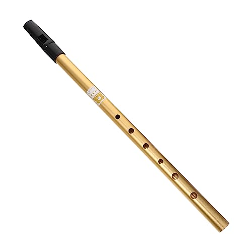 Abaodam Educational Instrument Soprano Recorder Aluminum Alloy Clarinet Portable High Pitch c Flute for Boys and Girls