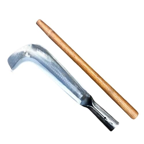 肩  芙  S| 肩 no 늙n s ϋv  G | K[fjO _ _ ؉  Ő G ~  } c }ł hЗp |p }oV  (A)