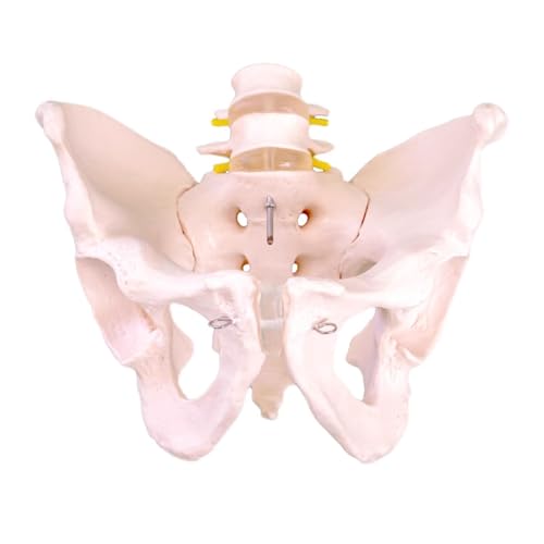 JUJNEjՃf2Ńqbv{[卜f`Oȗpiы@