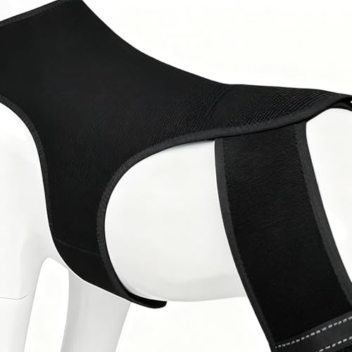 Opdestn Hunde Hüftbandage - Einstellbare Gelenkmanschette - Hunde Hinterbein Orthese mit 4 Metall Stabilisatoren,für Spaziergänge, Wanderungen, Training, Outdoor Aktivitäten, Park, und Reisen