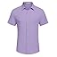 Light Purple Light Purple