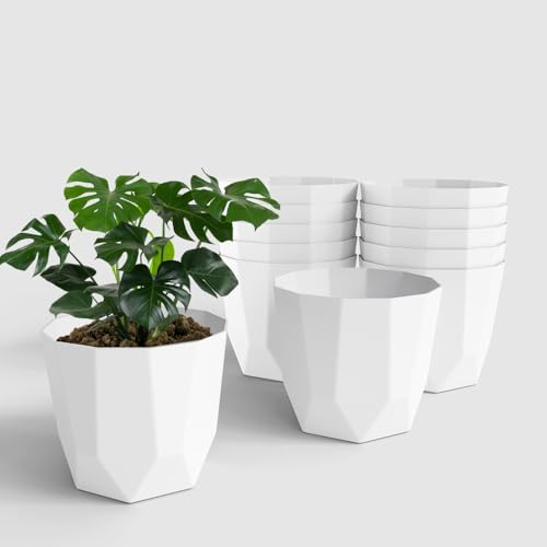 Image of YUCCABE ITALIA SHERA Hexa Plastic Planter Pot for Plants | Decorative Flower Pot | UV Protected Lightweight Indoor Outdoor Gamla for Home Decor, Balcony, Garden & Living Room