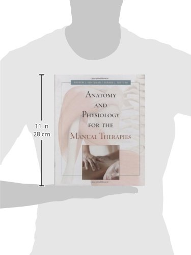 Anatomy and Physiology for the Manual Therapies - Image 5