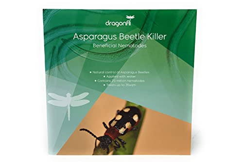 Dragonfli Asparagus Beetle Killer Nematodes (70sqm)
