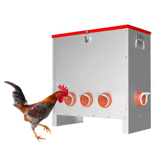 Comedero automático para aves de corral con pestillo y asa, dispensador de alimentos de gran capacidad resistente a la intemperie para pollos, bantamos, faisanes