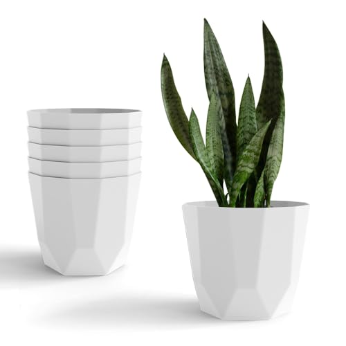 Image of YUCCABE ITALIA SHERA Hexa Plastic Planter Pot for Plants | Decorative Flower Pot | UV Protected Lightweight Indoor Outdoor Gamla for Home Decor, Balcony, Garden & Living Room